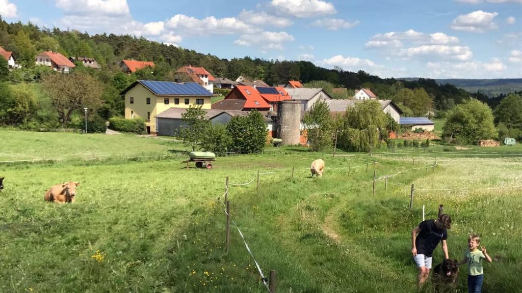 Ferienwohnungen Elsbacher Hof Erbach  Esterno foto